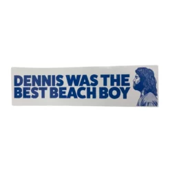 Beach Boy Sticker