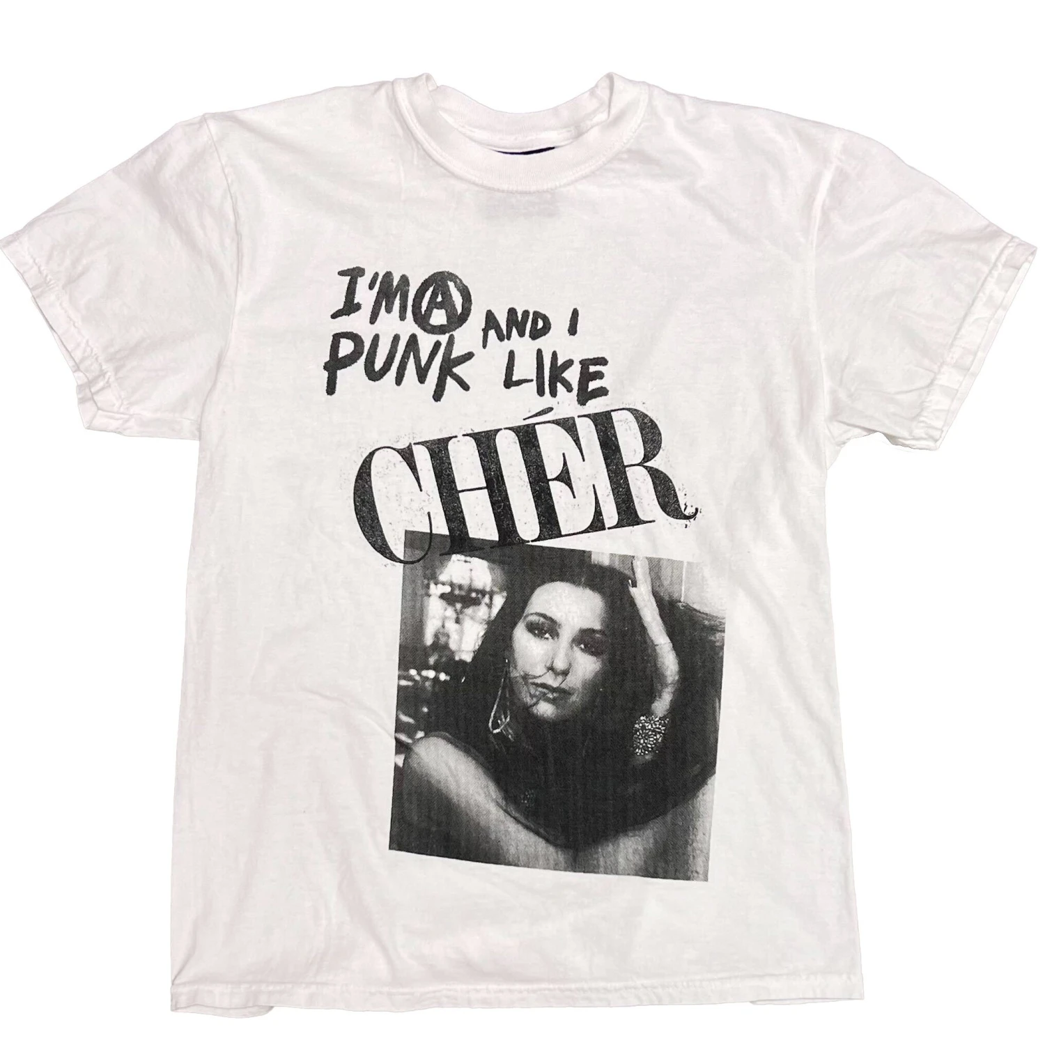 I'm A Punk And I Like Cher 1 I'm A Punk And I Like Cher